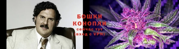 мескалин Богданович