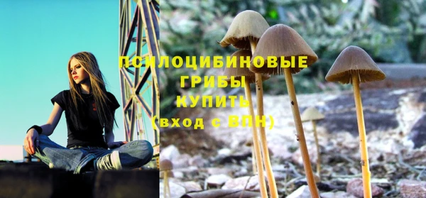 прущая мука Богородицк