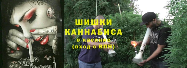 мескалин Богданович