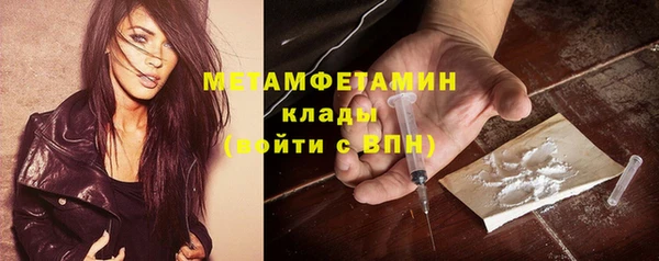 индика Тавда