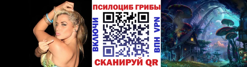 Галлюциногенные грибы мицелий  где найти наркотики  Горно-Алтайск 