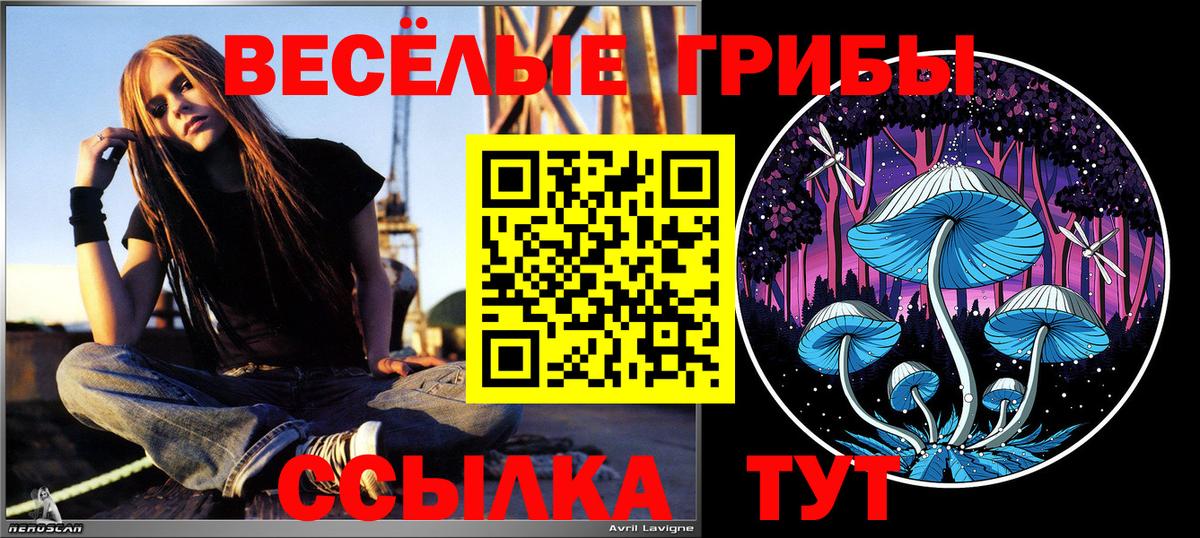 Горно-Алтайск  Псилоцибиновые грибы MAGIC MUSHROOMS  Вход с VPN 