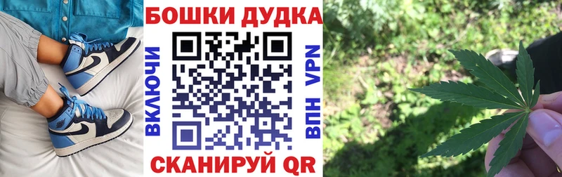 Канабис сатива  продажа наркотиков  Горно-Алтайск 