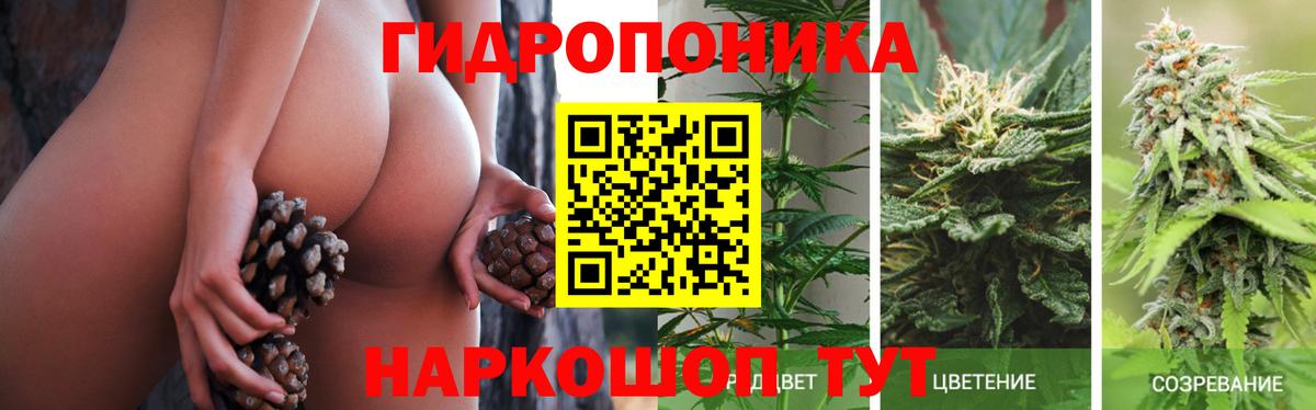 ГАШИШ Горно-Алтайск
